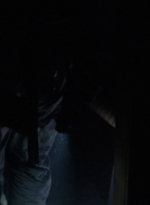 twd1003_1591.jpg