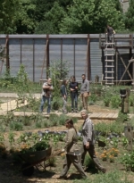 twd1004_2058.jpg