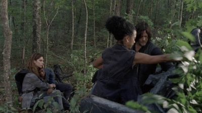 twd1005_1788.jpg