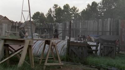 twd1005_1944.jpg