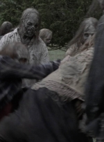 twd1005_1687.jpg