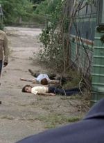 twd1005_1882.jpg