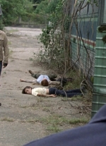 twd1005_1883.jpg