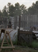 twd1005_1943.jpg