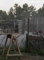 twd1005_1944.jpg