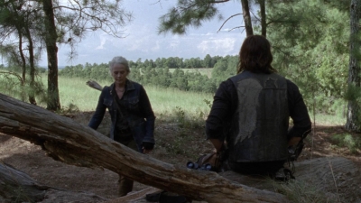 twd1006_1214.jpg