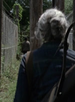 twd1006_0080.jpg