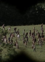 twd1006_1105.jpg