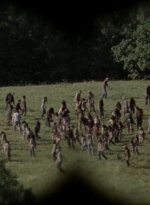 twd1006_1106.jpg