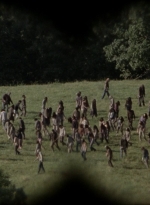 twd1006_1107.jpg