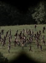 twd1006_1108.jpg