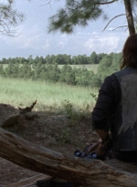 twd1006_1212.jpg