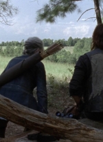 twd1006_1216.jpg