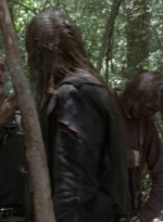 twd1006_1365.jpg