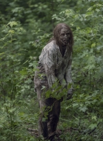 the-walking-dead-s10e08-the-world-before-015.jpg