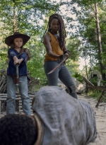 the-walking-dead-s10e08-the-world-before-029.jpg