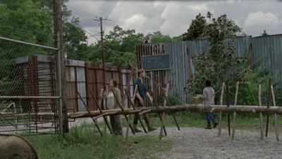 twd1008_0065.jpg