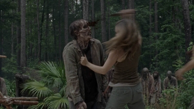 twd1008_1386.jpg