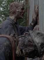 twd1008_0978.jpg