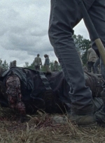 twd1012_0253.jpg