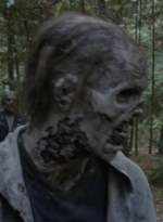 twd1012_0358.jpg