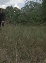 twd1012_1399.jpg