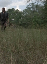 twd1012_1400.jpg