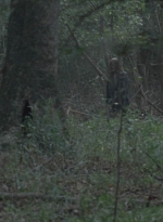 twd1012_2047.jpg