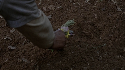 twd1013_0535.jpg
