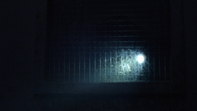 twd1013_0644.jpg