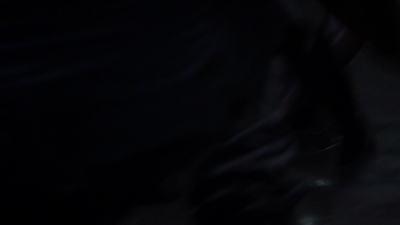 twd1013_1477.jpg