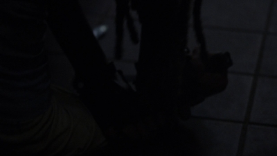 twd1013_1481.jpg