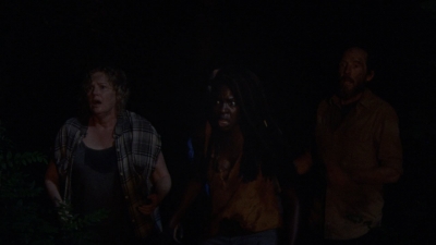 twd1013_1491.jpg