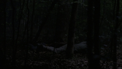 twd1013_1501.jpg