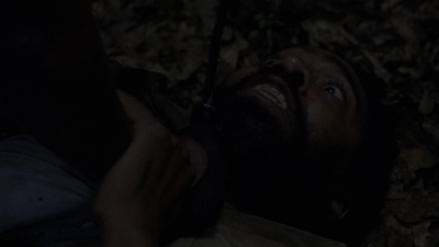 twd1013_1504.jpg