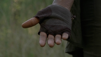 twd1013_2495.jpg