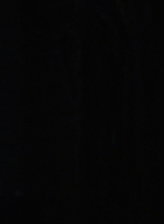 twd1013_0638.jpg