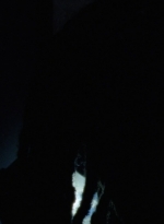 twd1013_0648.jpg