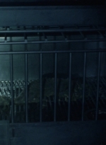 twd1013_0691.jpg