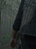 twd1013_1425.jpg