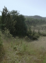 twd1013_2452.jpg