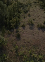 twd1013_2505.jpg