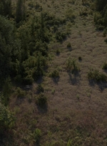 twd1013_2506.jpg