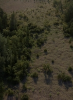 twd1013_2508.jpg