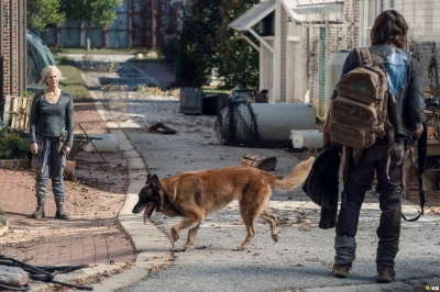 the-walking-dead-s10e21-diverged-027.jpg