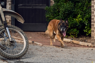 the-walking-dead-s10e21-diverged-029.jpg