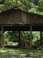 twd1107_scnet_1504.jpg