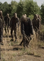 twd1107_scnet_1815.jpg