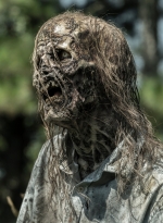 the-walking-dead-s11e13-warlords-030.JPG