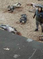 twd1119_scnet_2096.jpg